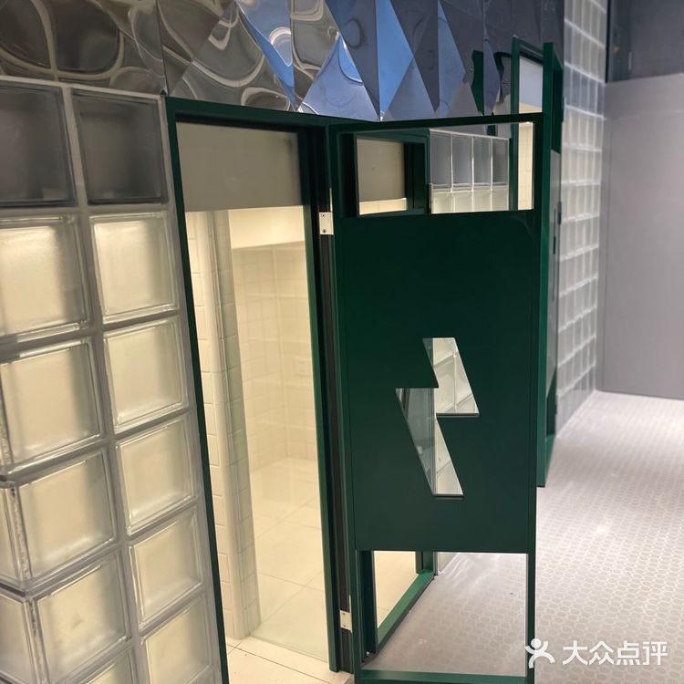 电力宠物公司
