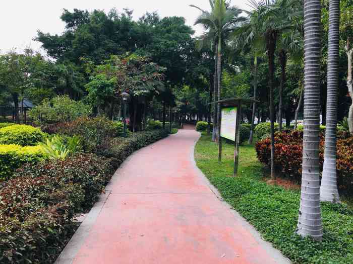 花溪公园-" 傍晚去挺好的,旁边就是容桂的图书."-大众点评移动版