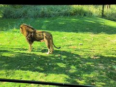 -北京野生动物园