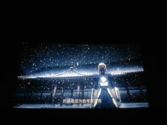 放映厅-保利国际影城杭州中南店