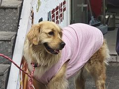 -项记面馆(明瓦廊店)