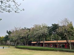-顺峰山公园