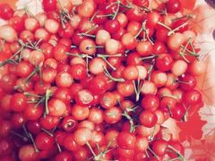 -樱桃山旅游景区