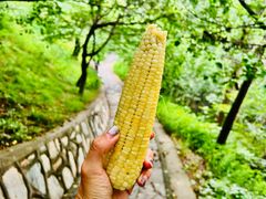 -北京西山国家森林公园