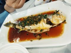 -光头老板·本帮菜