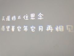 -成都失恋馆