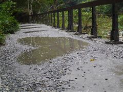 -太鲁阁公园