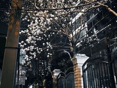 -武昌江滩