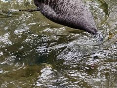 -水磨沟公园