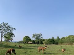 -良渚古城遗址公园