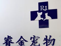 -睿金宠物医院·CT·肿瘤·骨外科