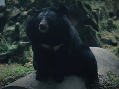 -成都动物园