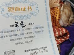 -纳吉亚猫专科动物诊疗中心(蒋宅口分院)