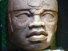 -美国自然历史博物馆