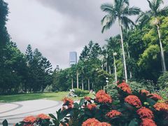 -人民公园(罗湖区)