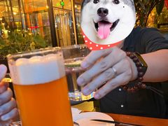 -普兰达德国餐厅·德式脆皮烤猪肘·自酿啤酒(观唐店)