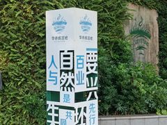 -华侨城湿地公园