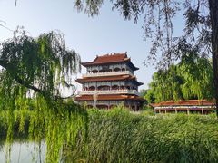 -禹州森林植物园