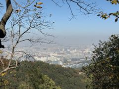 -灵顺寺