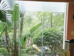 -海兰云天度假区温泉