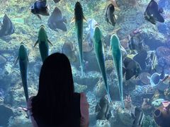 -左海海底世界