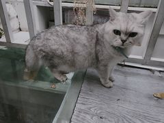 -小时光咖啡馆(北锣鼓巷店)