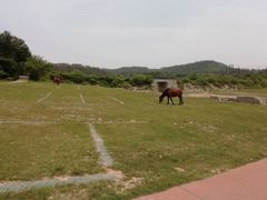 -木兰云雾山