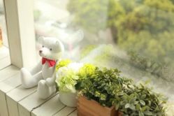 点击看大图 -苹果树儿童摄影工作室