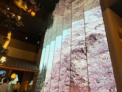 -桂满陇·海市蜃楼·黑金(国金店)