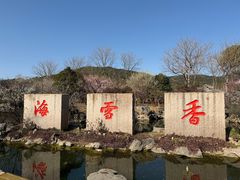 -香雪海