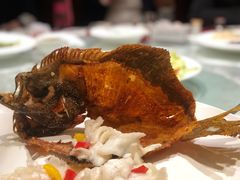 -津城食府