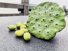 -湖畔居茶楼(湖滨店)