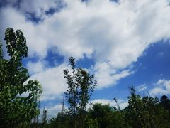 -青岩古镇