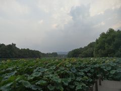 -杭州西湖风景名胜区-北街寻梦
