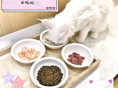 -Double Rui宠物酒店