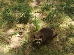 -青藏高原野生动物园
