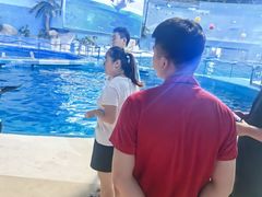 -泉城欧乐堡海洋极地世界
