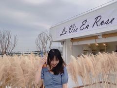 -Blue Concept Cafe&Farm·關於藍