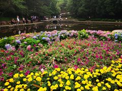 -庐山风景区花径公园