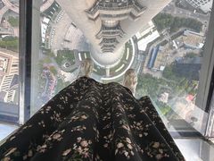 -东方明珠广播电视塔