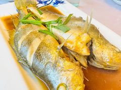 -宾朋海鲜饭庄(兴海路店)