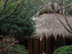 -中国茶叶博物馆(双峰馆区)