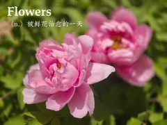 -西苑公园