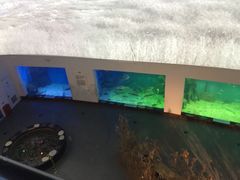 上海长江河口科技馆-上海长江河口科技馆