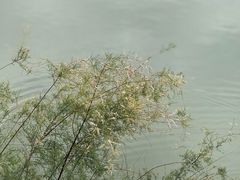 -塘沽森林公园