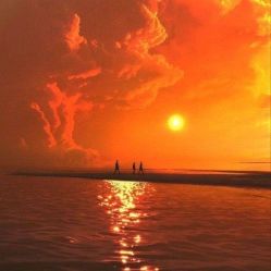 -薇兰专业脱毛连锁机构