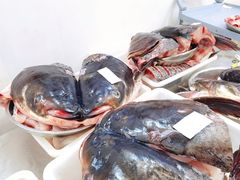 -雪野鱼头大王邢府公老店(雪野湖店)