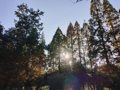 -花溪公园
