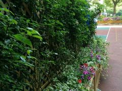 -上海市世外小学