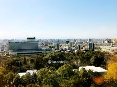 -名古屋城